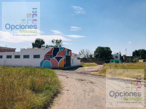 Imagen 3 de 3 de Terreno - Francisco Villa