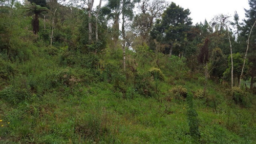 Chácara A Venda No Bairro Miringuava Em São José Dos - 5663-1
