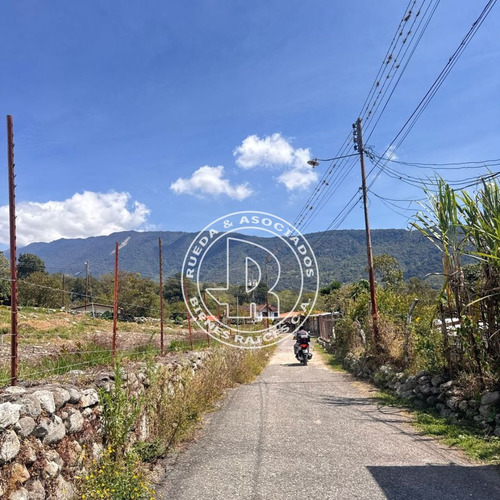 En Venta Terreno En El Playon Alto El Valle Mérida Venezuela
