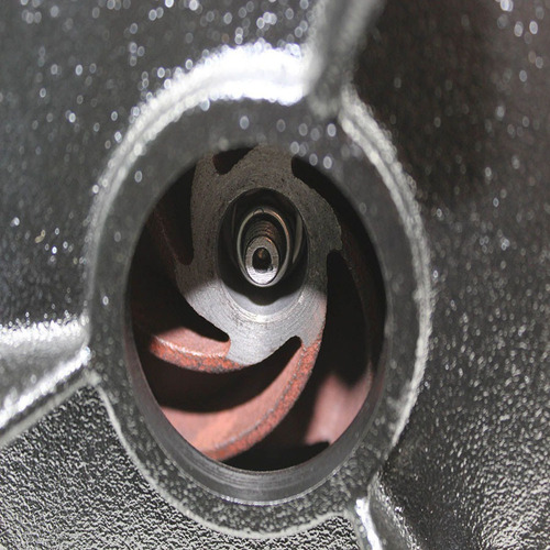Imagem 3 de 3 de Bomba Submersa Limpa Fossa Aço Inox 1.0hp Worker Rot 127v