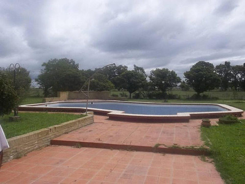 Imagen 23 de 30 de Casa-quinta En Venta En La Plata | Avda. 137 E/600y605 (16 Has)