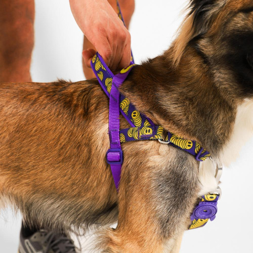 Peitoral Antipuxão Para Cachorros Softerwalk Lozt Zeedog Cor Zmiley