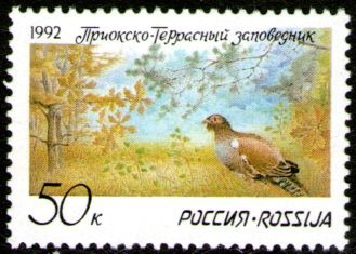 Rusia Serie X 1 Sello Nuevo Fauna = Aves = Faisán Año 1992