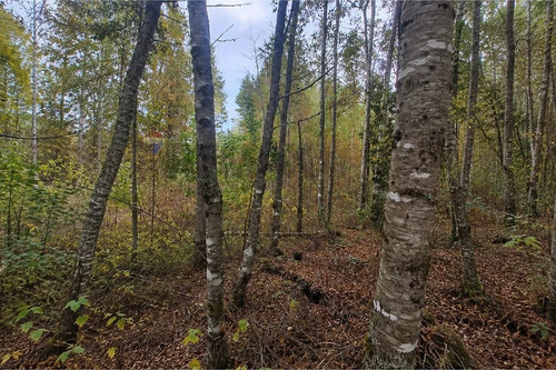 Venta De Terreno En Caburgua