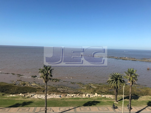 Imagen 8 de 16 de Frente Al Mar A Estrenar Apartamento De 2 Dormitoros En Suite Punta Carretas