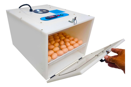 Chocadeira Automática Digital Juli 70 Plástico C/ Ovoscópio