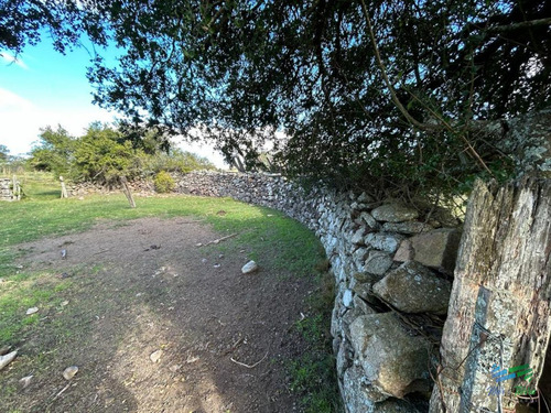 Imagen 6 de 24 de Lindo Campo Para Fraccionar, Sobre Ruta Y A Poco Mas De 1 Hora De Punta