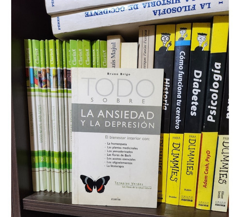 Todo Sobre La Ansiedad Y La Depresion - Bruno Brigo 