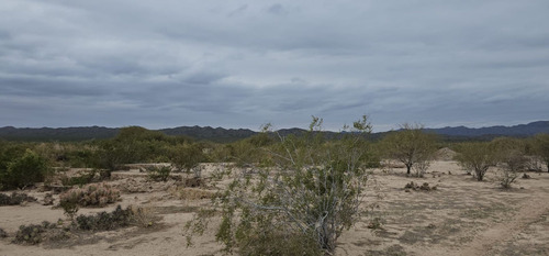 Venta Campo De 7.100 Has En Talacasto, Ullum