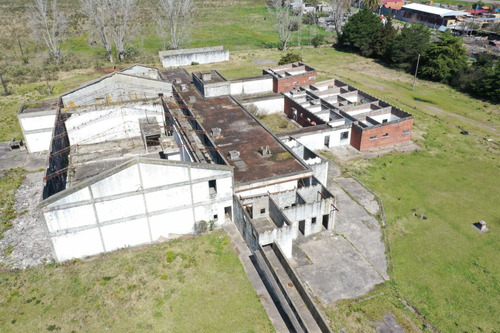 Planta Frigorifica Ex Proinco
