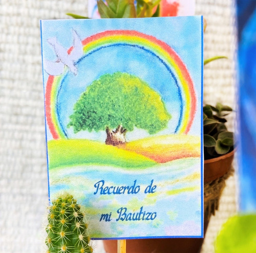 Recuerdos Cactus Y Sucus, Toda Ocasión, Valor Cada Unidad