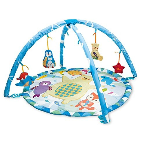 Winfun Polar Fiesta Play Mat