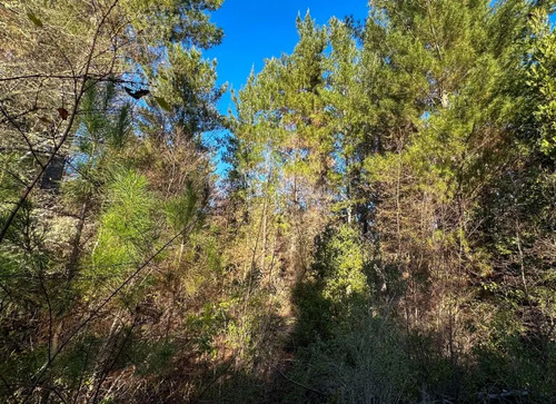 Venta Parcela En Embalse Digua, De Parral