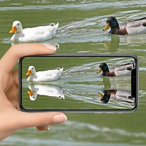 1 Set De Fotografía En Vivo De Vlog Selfie Mirror Con Teléfo