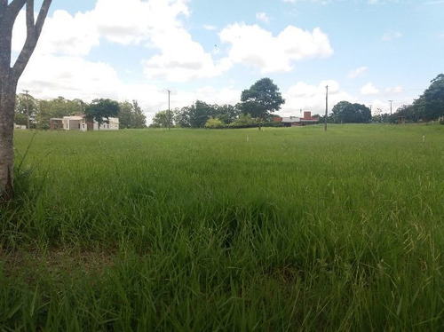 Imagem 6 de 14 de Terreno À Venda Na Rua 174, Thermas, Gleba I , Águas De Santa Bárbara, Águas De Santa Bárbara - Sp - Liv-11637