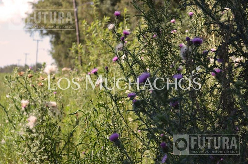Imagen 5 de 30 de Terreno A La Venta En Barrio Abierto Los Muchachos - Piñero