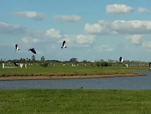 Imagen 3 de 14 de Lote A La Laguna En Sebastian Gaboto, Pueblos Del Plata