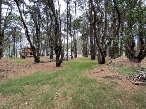 Imagen 6 de 10 de Terreno - San Vicente Barrio Cerrado , Ruta 10 Km 170,800