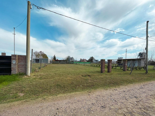 Imagen 3 de 10 de Terreno De 555 M2 En Punta Chacra, Roldán