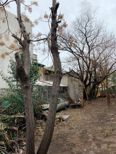 Imagen 3 de 4 de Terreno Libre - Ideal Inversor - 8,66x32 - Orientacion Este - Zona Residencial