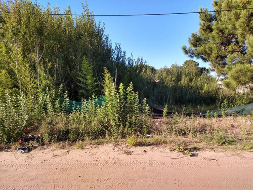 Imagen 3 de 4 de Lote Industrial Ostende #