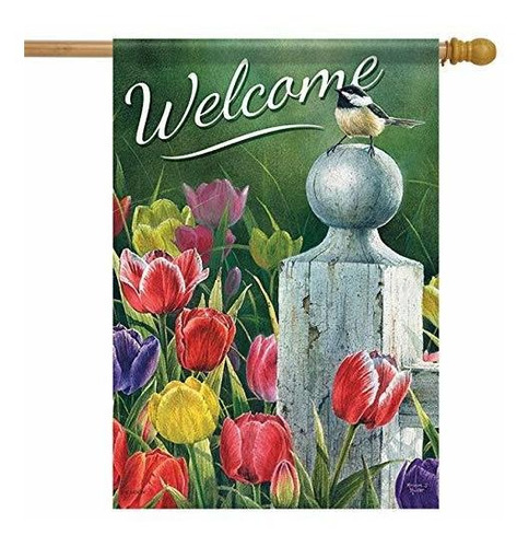 Carson Home Acentos Tendencias Classic Large Flag, Welcome