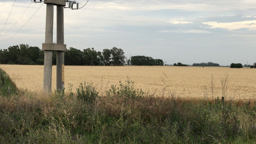 Imagen 4 de 12 de Vendo Chacra Para Loteo Sobre Ruta 205 En Saladillo!!