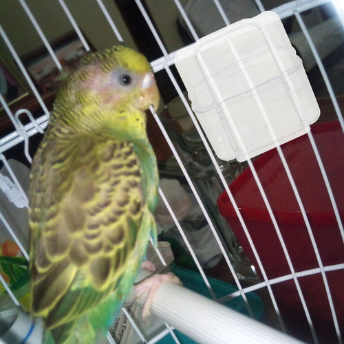 2 Comederos Para Pájaros Para Mascotas, Cajas De Alimentació