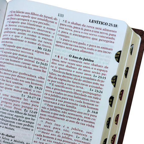 Biblia King James 1611 Com Pilcrows, Referencias, Profecias Messianicas E Palavras Em Vermelho - Capa Luxo Caramelo Com Indice