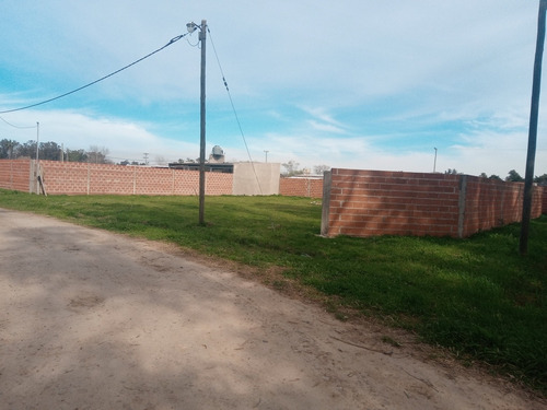 Imagen 5 de 6 de Lote De 618 M2