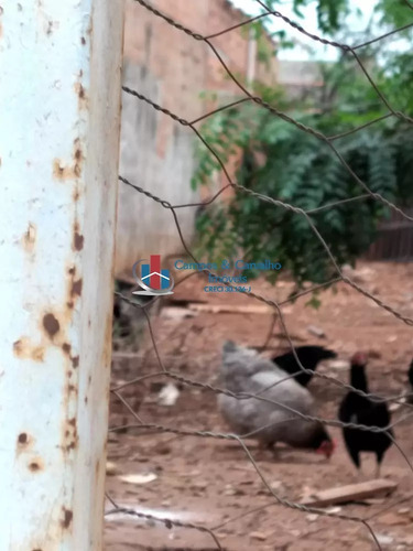 Imagem 4 de 5 de Rua Lençóis Paulista, Jardim Jóquei Clube, Ribeirão Preto - 43587