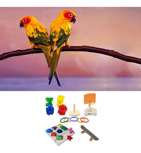 Juguete Para Loros Altura Ajustable Varios Juegos Para Aves