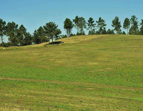 Imagen 4 de 5 de Terreno - Tafi Viejo