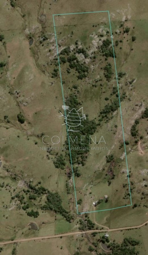 Imagen 2 de 17 de Campo De 15 Has - Consulte !!!!!! - Las Cañas
