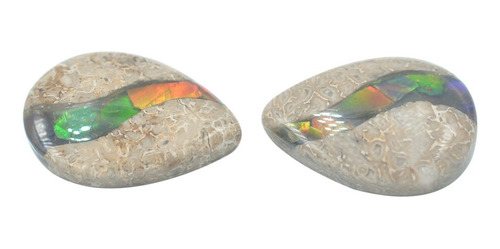 Hueso De Dinosaurio Fósil Cabujón Pera Con Ammolita 15x20mm