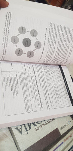 Libro Auditoría Del Control Interno