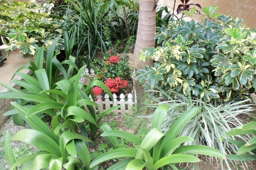 Imagen 12 de 14 de Apartamento En Venta El Encantado Mls # 21-13894