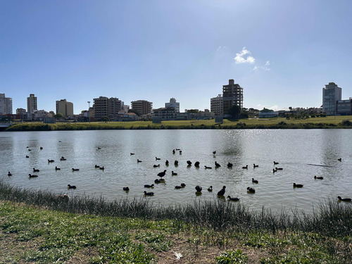 Temporario 2 Ambientes. En Punta Mogotes A Metros De La Costa. Tu Departamento!!!