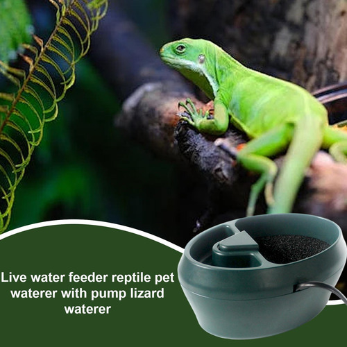 Fuente Para Beber Reptiles Plato De Agua Para Lagartos Fuent