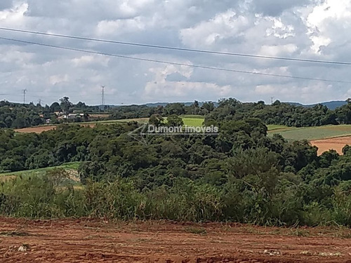 Imagem 11 de 13 de Lindo Terreno No Bairro Lageadinho Ibiúna .cod 380.