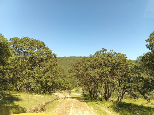 Terreno En Venta En Sierra De Lobos