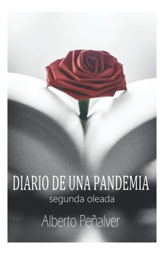 Libro: Diario De Una Pandemia: Segunda Oleada (spanish