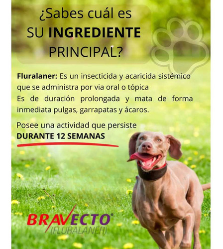 Bravecto Perro 20 Kg A 40 Kg - Comp Masticable