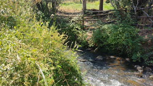 Sitio En Sector Santa Isabel Comuna San Clemente