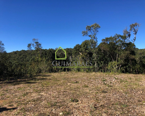 Imagem 4 de 22 de Linda Chácara Com 30.000 M² Á Venda Em Rancho Queimado, Sc - Ch00018 - 69903101