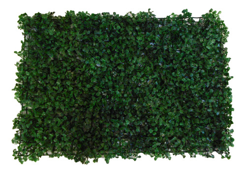 Imagen 1 de 10 de Jardin Vertical Artificial Muro Verde X20u Interior Exterior