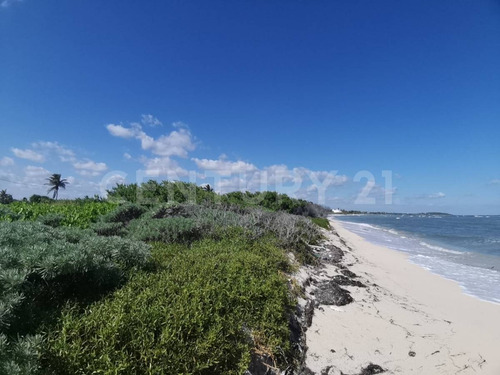 Oportunidad!!se Vende Terreno Frente Al Mar Mahahual-rio Indio P1200