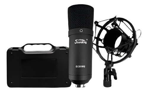 Soundking Ec810 Microfono Condensador Cardioide C/canastilla