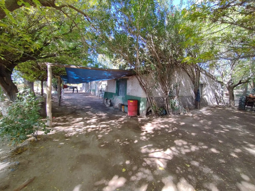 Imagen 16 de 16 de ¡zeballos Estudio Jurídico E Inmobiliaria Vende Finca En Producción En Lavalle! Mat. 134/135