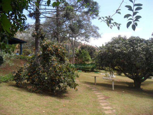 Imagem 28 de 30 de Chácara Com 2 Casas À Venda, 4000 M² Por R$ 550.000 - Zona Rural - Santo Antônio Do Pinhal/sp - Ch0095